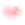 Perennial Petals
